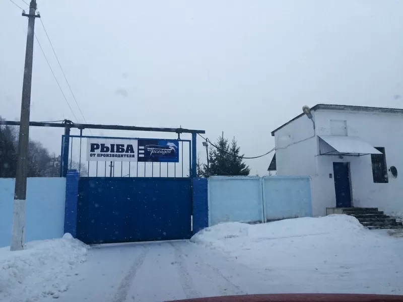 Продается завод в Подмосковье (рыбный завод)